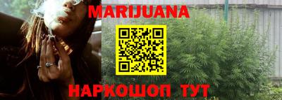 индика Заволжье