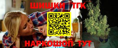индика Заволжье