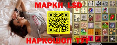 индика Заволжье