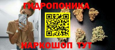 дживик Заводоуковск